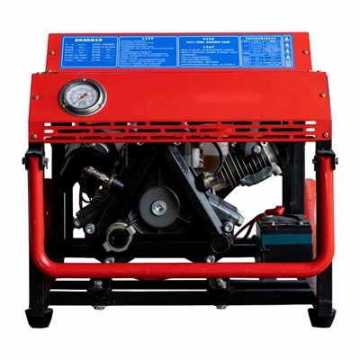 Wildland pumpe